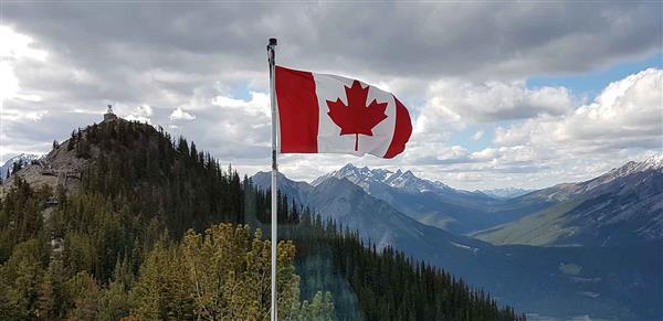 BONNYVILLE IMMIGRATION SERVICES INC.      